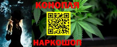 шишки Новозыбков