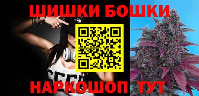 тгк Новодвинск