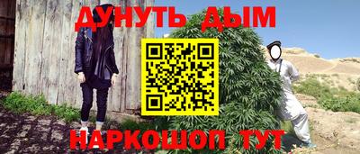 шишки Новозыбков