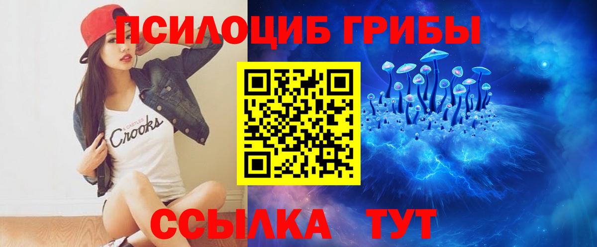 Галлюциногенные грибы мухоморы  Вход с VPN  Урус-Мартан  Псилоцибиновые грибы GOLDEN TEACHER 