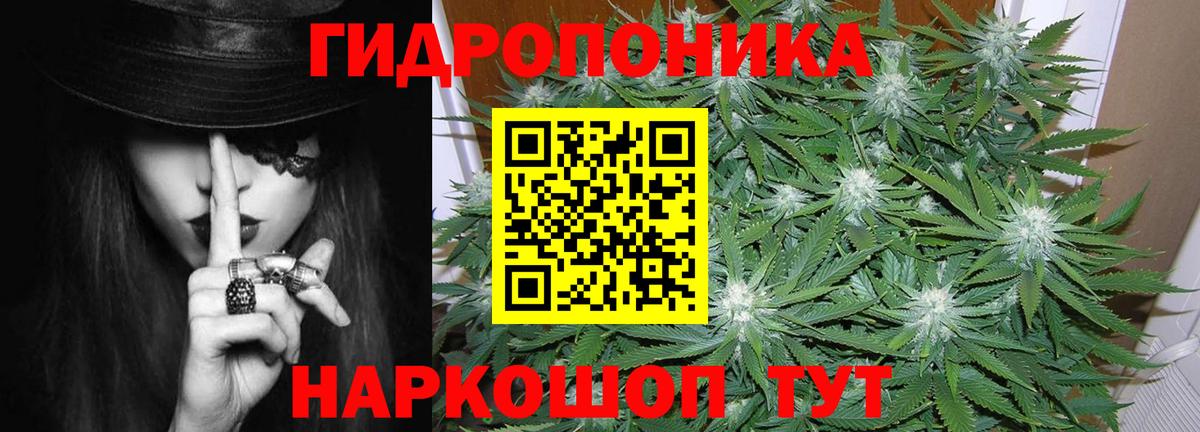 Каннабис Bruce Banner  Конопля AK-47  Бошки марихуана Amnesia  Вход с VPN  Урус-Мартан  Бошки Шишки White Widow 
