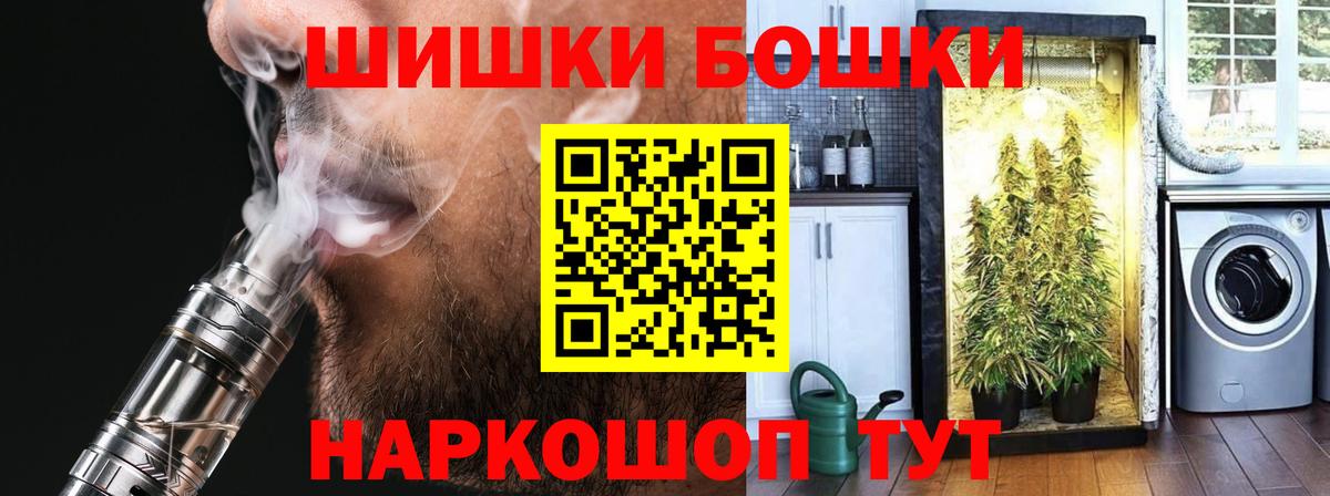 Бошки Шишки гибрид Урус-Мартан